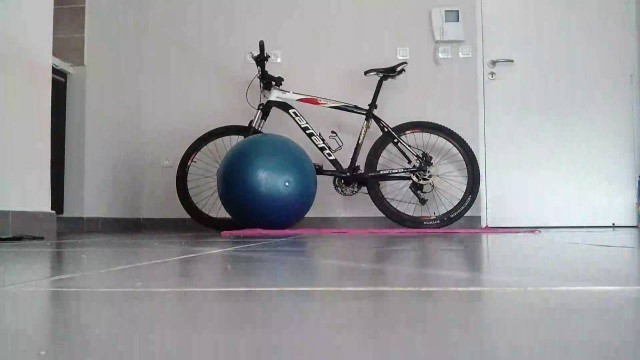 'Les pompes avec ballon gym'