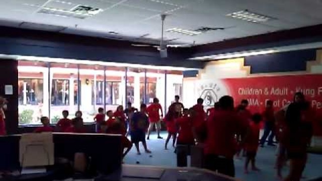 'United Martial Arts Academy Summer Camp'