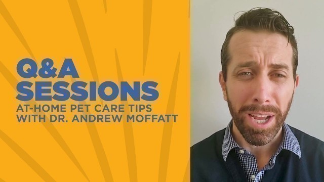'At-Home Pet Care Tips with Dr. Moffatt | Petco Q&A Sessions'