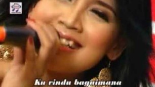 'GALA GALA#SULIANA#DANGDUT#LEFT'