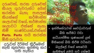 'ගුරුවරුන් දෙමාපියන් නැරඹිය යුතුම විඩියෝවකි -ළමා මනස තෙරුම් අරන් උගන්වමු - motivate school students'