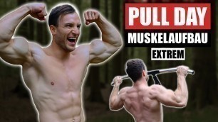 '20 Min. PULL DAY für Zuhause mit Klimmzugstange | Rücken, Bizeps - Sascha Huber'