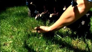 'Lawn Aeration Tips'