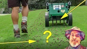 'How To Aerate Your Lawn'