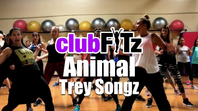 'Animal by Trey Songz | Club FITz Fitness Choreo by Lauren Fitz'