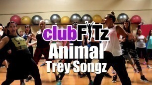 'Animal by Trey Songz | Club FITz Fitness Choreo by Lauren Fitz'