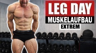 '20 Min. LEG DAY Workout für Zuhause mit Kurzhanteln | Sascha Huber'