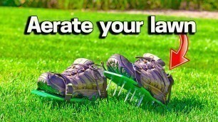 'How to Aerate a Small Lawn'