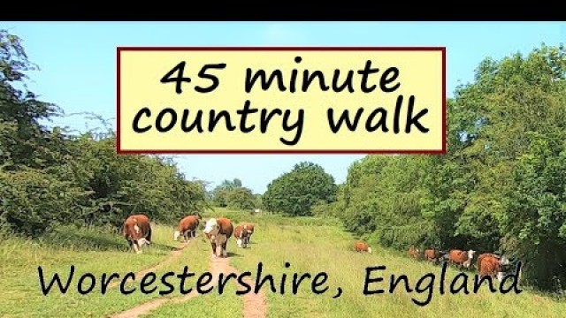'Walking In English Countryside On A Summer\'s Day | Treadmill Workout Scenery'