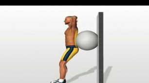 'Le squat avec ballon de gymnastique  exercice pour muscler quadriceps'