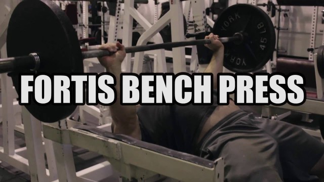 'GYM PORN: THE BEST BENCH PRESS EVER (Fortis Fitness)'