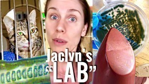 'Confirmed Animals in Jaclyn Hill Lipstick Manufacturing Facility - Animal Hair In Lipstick?'