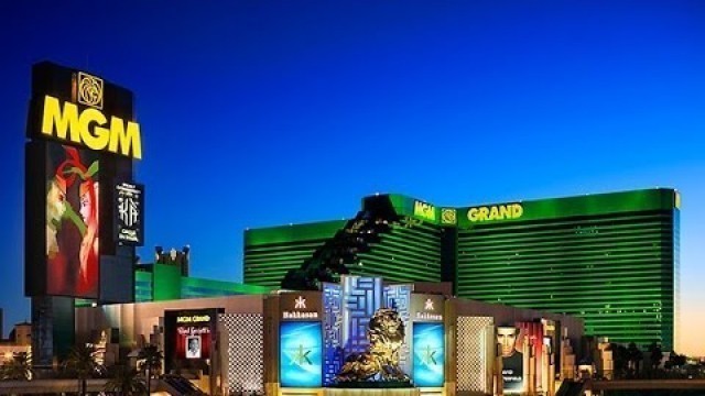 'Pool, Rooms, Dining, Entertainment Review MGM Grand Las Vegas'