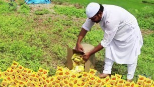 'Maggi Noodles| Maggi Noodles Donating to Disabled People'