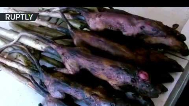 'SNAKE ,MOUSE ,BAT,PIG .DOG meat shop china'