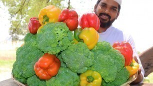 'Broccoli recipe for childrens || Nawabs kitchen'