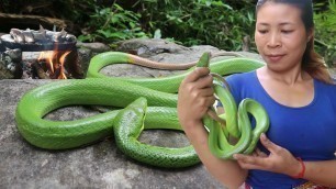 'Find and meet green snake for food in the jungle - Cooking snake recipe eat delicious #71'