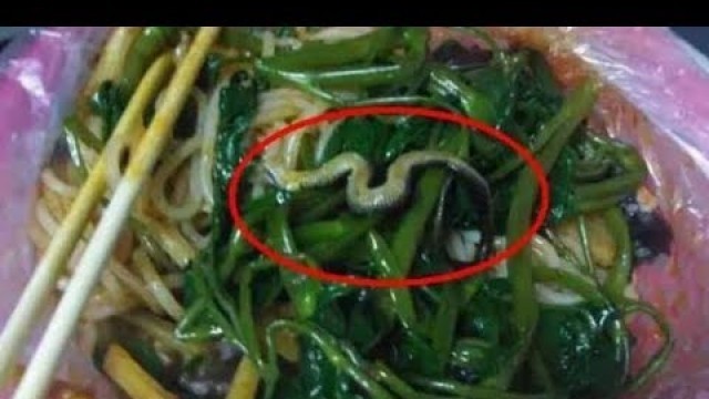 'Restaurant told to shutdown after snake spotted in the noodles in China'