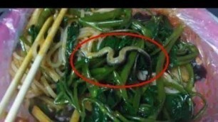 'Restaurant told to shutdown after snake spotted in the noodles in China'