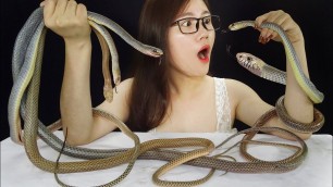 'ASMR Steamed snake, Vietnam\'s exotic food (EXTREME CHEWY EATING SOUNDS) | Chén ASMR'