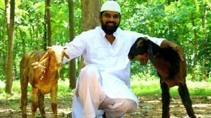 'Bakrid Special Mutton Biryani / Full Goat Biryani Bakrid special By Nawabs'