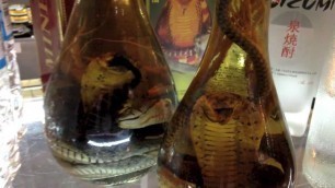 'Snake Wine Vietnam'