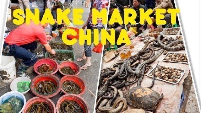 'Snakes meat market at china'