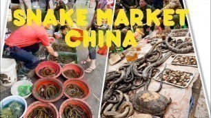 'Snakes meat market at china'