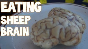 'Eating An Entire Sheep\'s Brain in Morocco | Furious Pete'