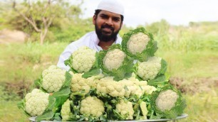 'Cauliflower Curry for kids ||Gobi Tomato Curry || Nawabs kitchen'