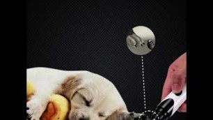 'K9 Care Electric Pet Nail Grinder'