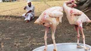 'Roasted Butter Turkey With Truffle Butter || Butter Turkey Recipe || Nawabs kitchen'