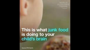 'Junk food could distrup children\'s brain development'