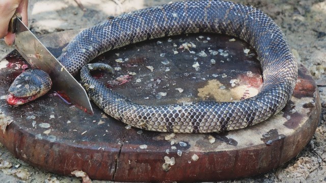 'Giant Snake Soup - Delicious Big Python Boil For Food - Wilderness Food'