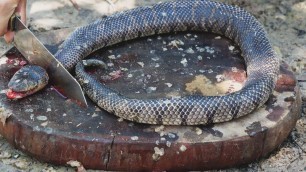 'Giant Snake Soup - Delicious Big Python Boil For Food - Wilderness Food'
