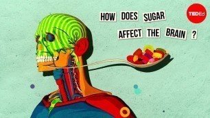 'How sugar affects the brain - Nicole Avena'
