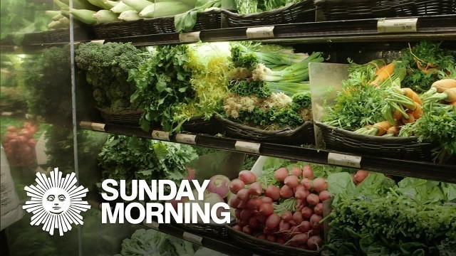 'Diet and brain health: You are what you eat?'