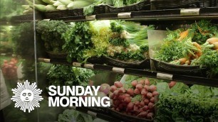 'Diet and brain health: You are what you eat?'