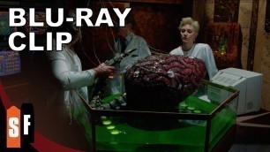 'The Brain (1988) - Clip: Food For Thought (HD)'