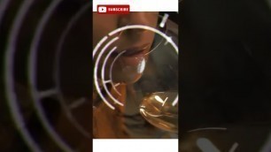'Snake wine in China 