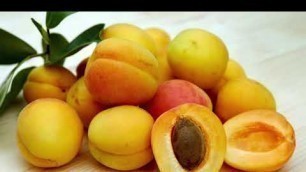 'Food Glorious Food Aruna Ladva'