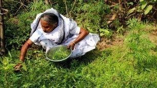 'Grandma\'s Special Recipe for Students | Brain Development Natural Food for all'