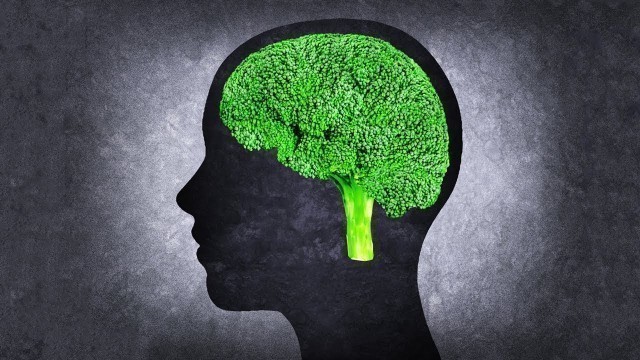 'The 10 Best Foods To Boost Brain Power and Improve Memory'