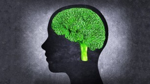 'The 10 Best Foods To Boost Brain Power and Improve Memory'