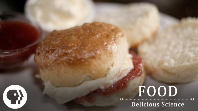 'FOOD - DELICIOUS SCIENCE | Rewarding The Brain | Clip | PBS Food'