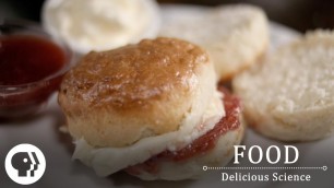 'FOOD - DELICIOUS SCIENCE | Rewarding The Brain | Clip | PBS Food'