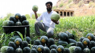 'Amazing Watermelon Juice Distributing To Poor | Nawabs Kitchen |Water Melon'