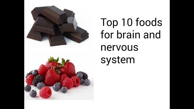 'Top 10 foods for brain and nervous system'