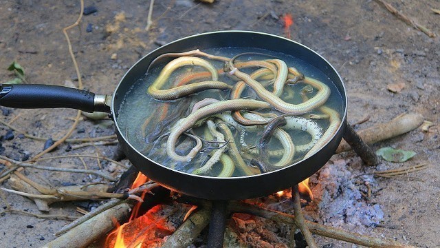 'Fried Water Snake Recipe Eating Delicious'