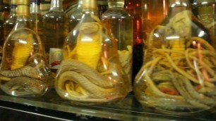'Traditional Chinese Snake Wine Medicine Jars'